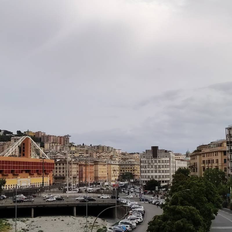 Genova marassi