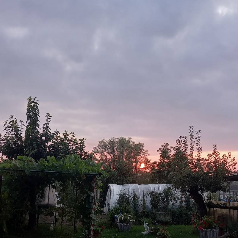 Fotosegnalazione di Castagnole delle lanze
