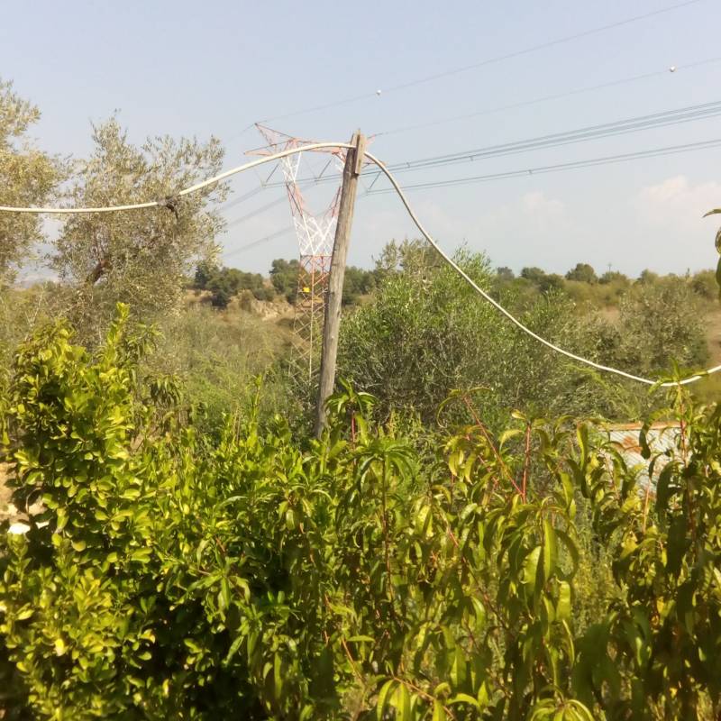 Fotosegnalazione di Magliano romano