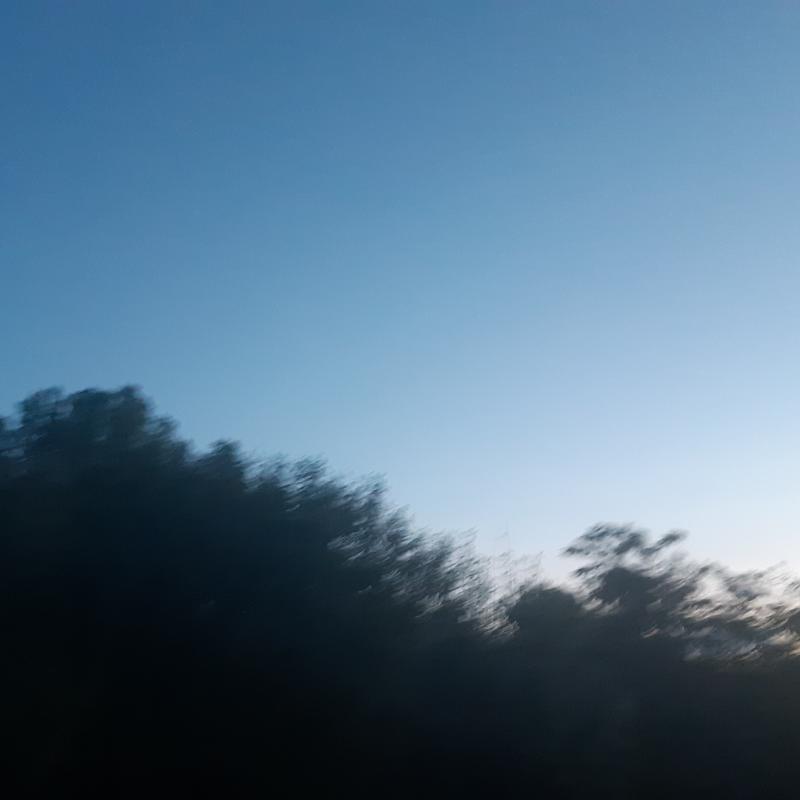 Fotosegnalazione di Alseno