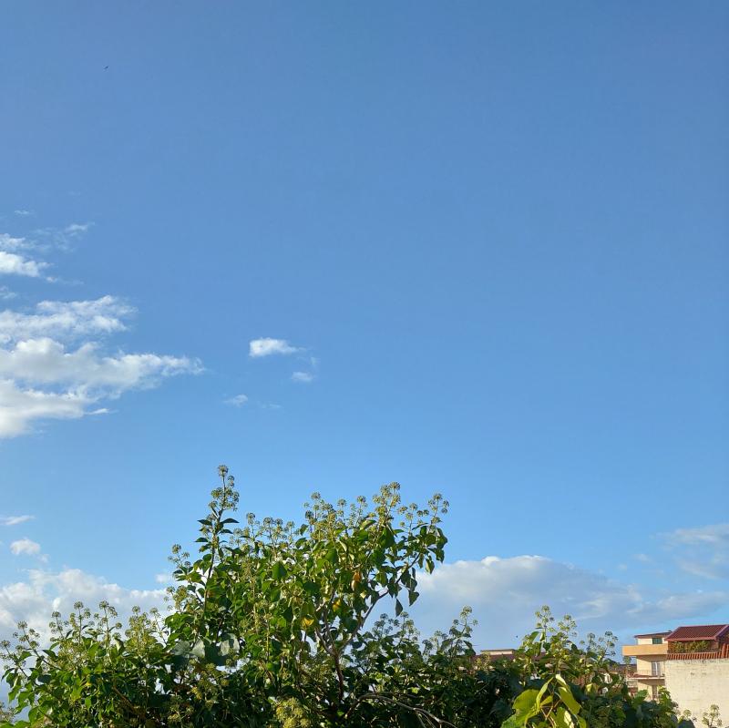 Fotosegnalazione di Lamezia terme