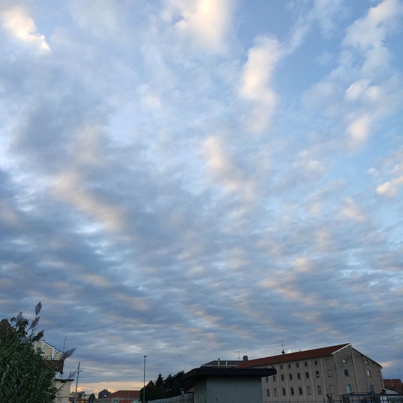 Fotosegnalazione di Novara