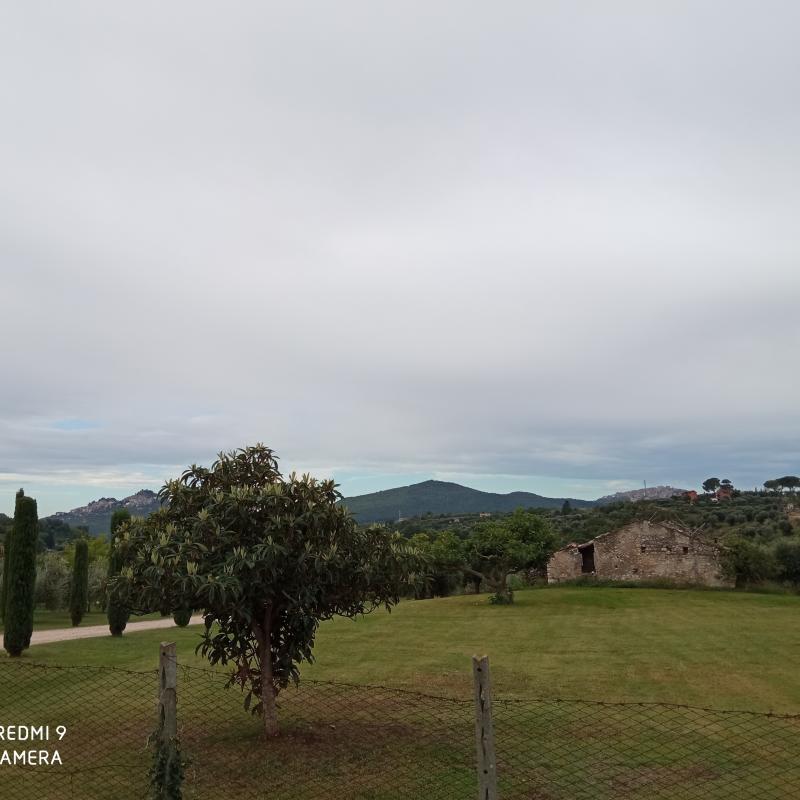 Fotosegnalazione di Palombara sabina