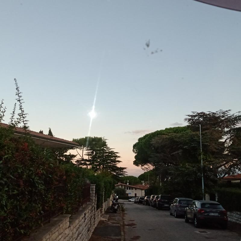 Fotosegnalazione di Livorno