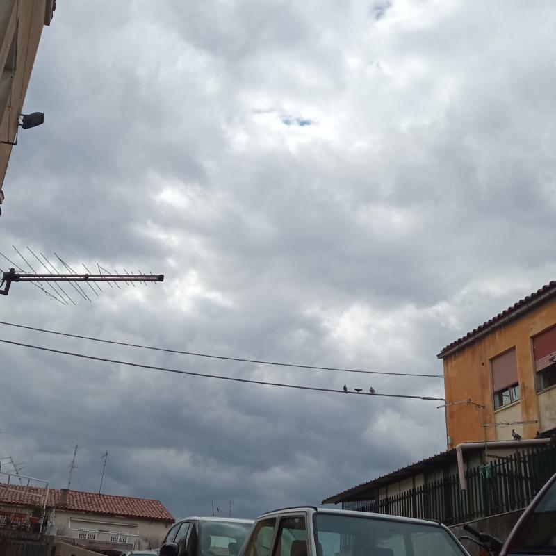 Fotosegnalazione di Catania