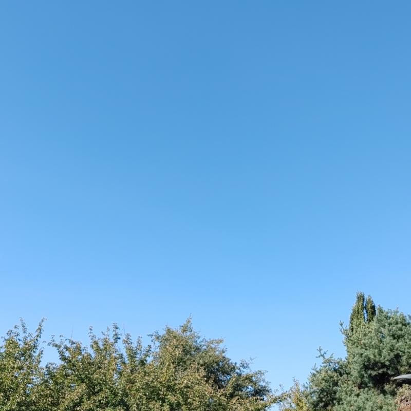 Fotosegnalazione di Somma lombardo