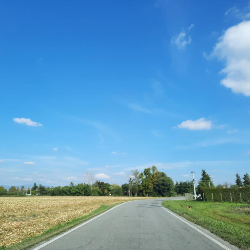 Fotosegnalazione di Cologno al serio