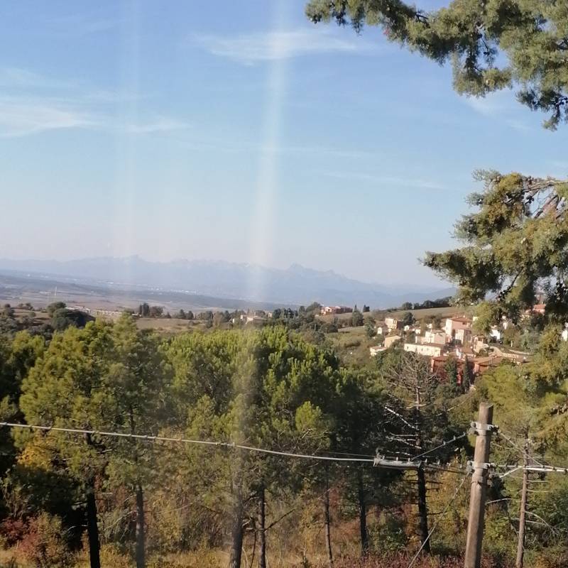 Fotosegnalazione di Castellina marittima