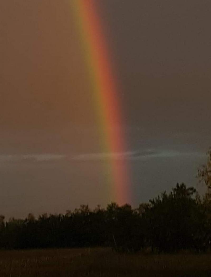 Buongiorno e buona domenica