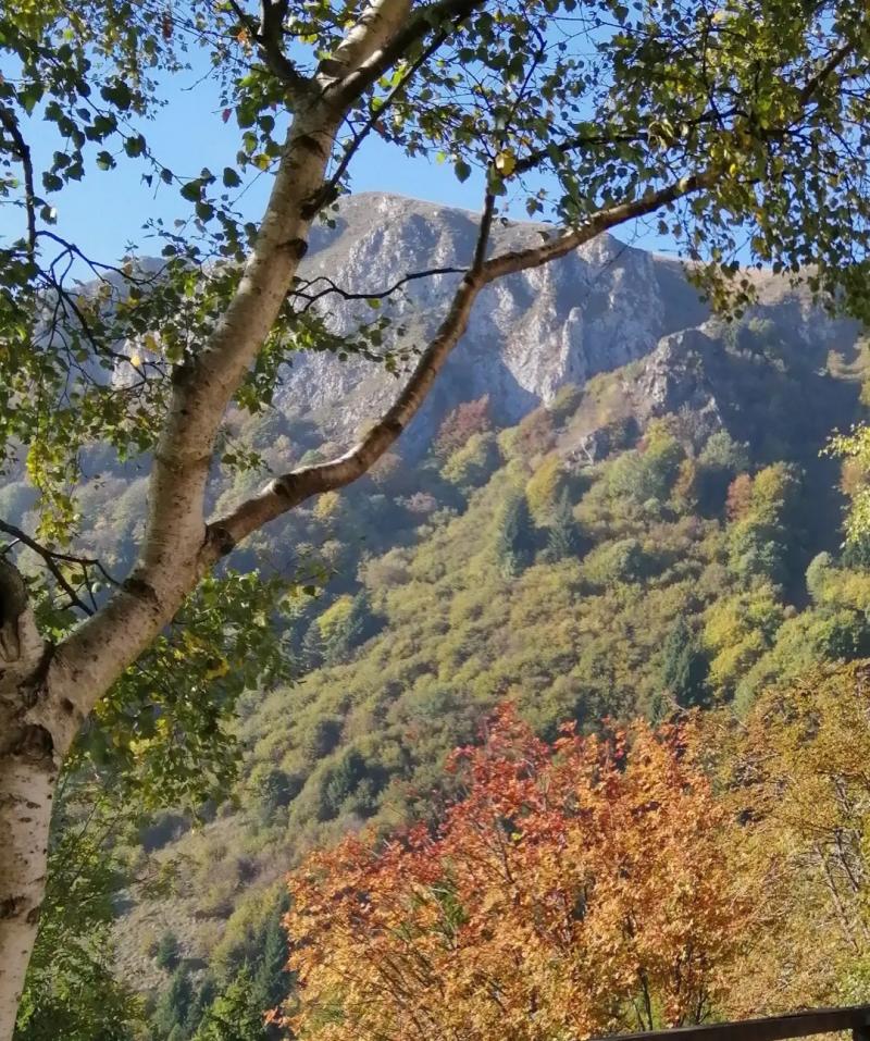 Malpensata veste autunno