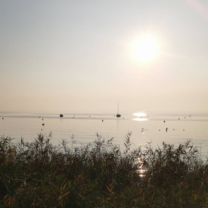 Fotosegnalazione di Castelnuovo del garda