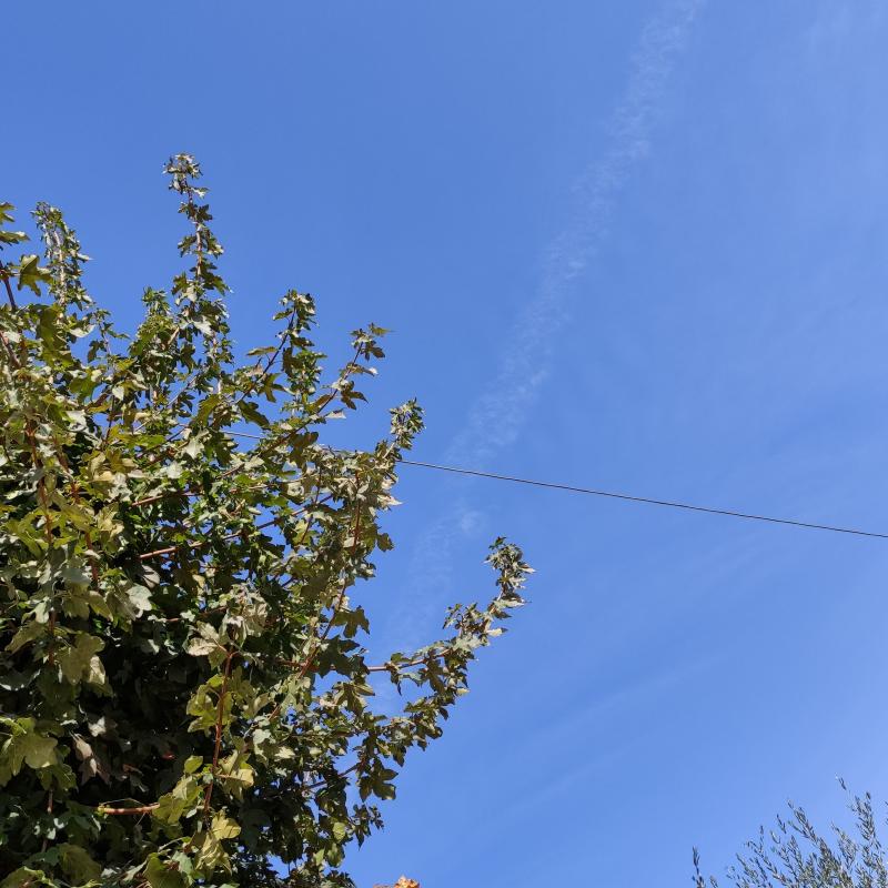Fotosegnalazione di Roma la storta