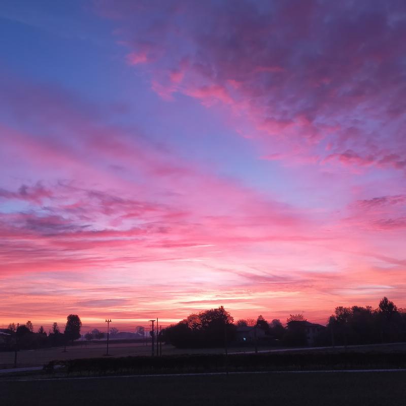 Fotosegnalazione di Reggio emilia