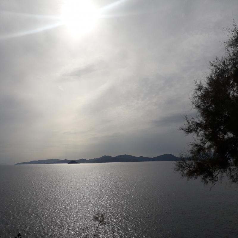 Fotosegnalazione di Piombino