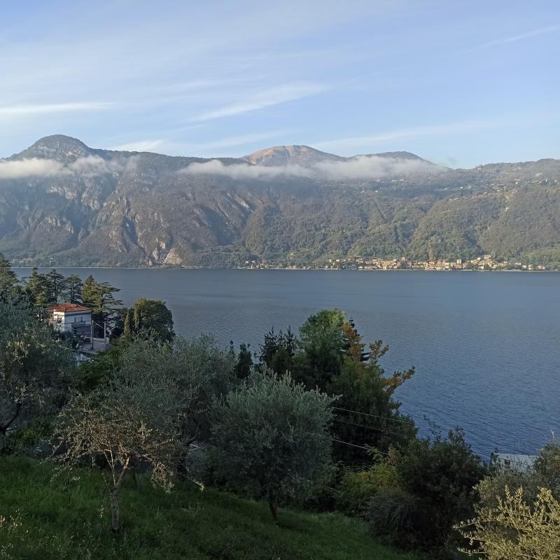 Vista su vassena.