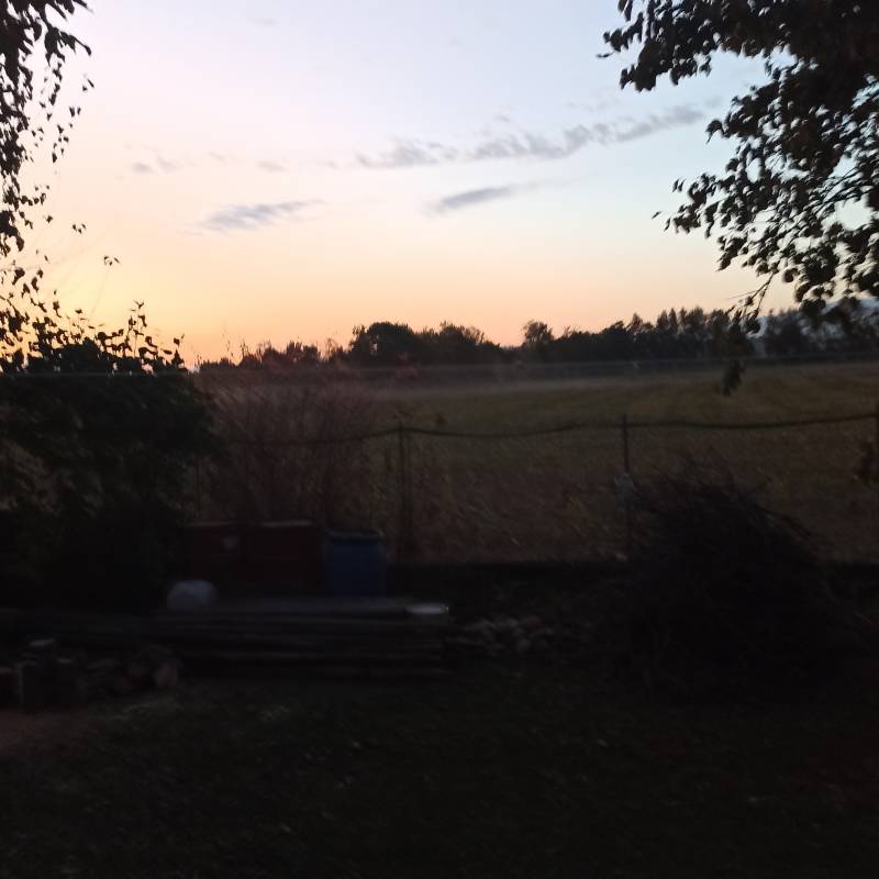 Fotosegnalazione di Istrana