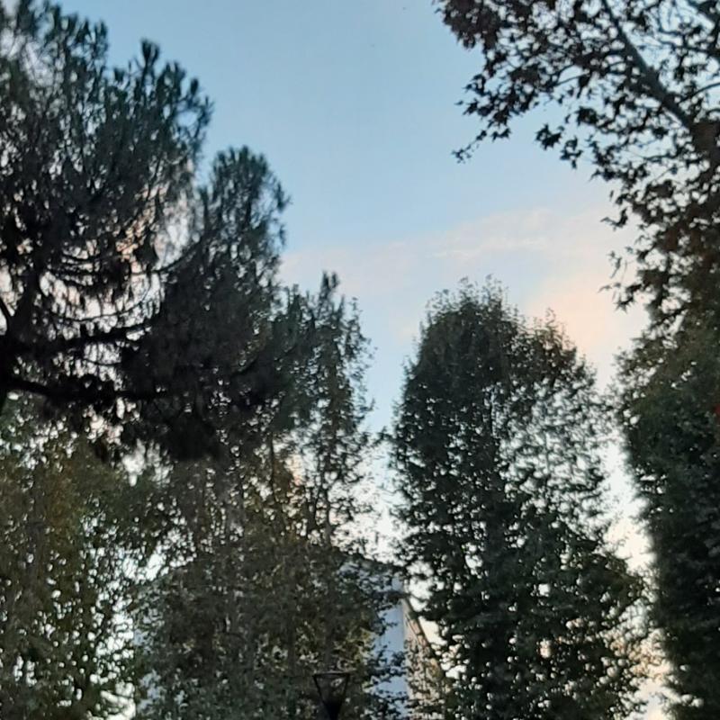 Fotosegnalazione di Roma tiburtino