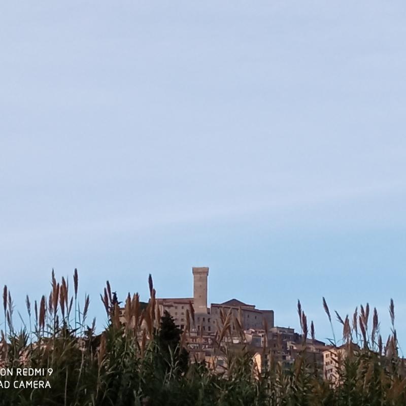 Fotosegnalazione di Palombara sabina