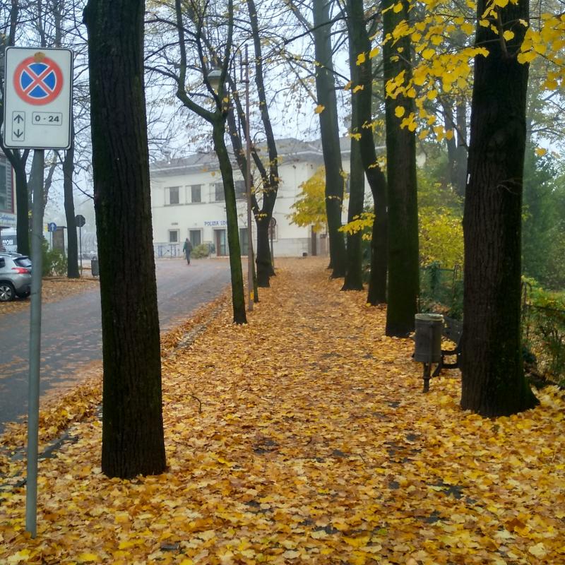 Fotosegnalazione di Motta di livenza