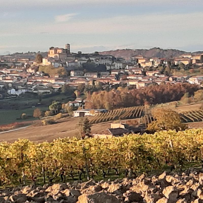Fotosegnalazione di Casorzo