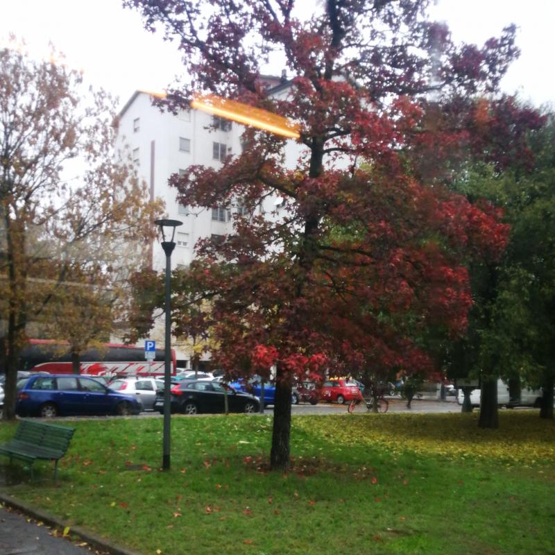 Fotosegnalazione di Milano forze armate
