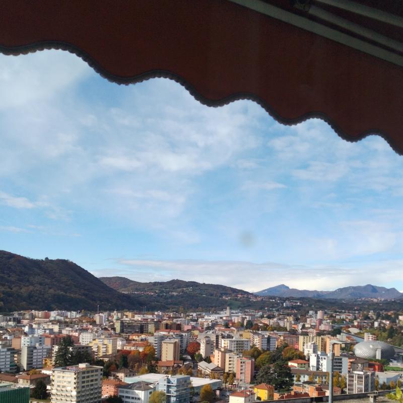 Fotosegnalazione di Como sagnino