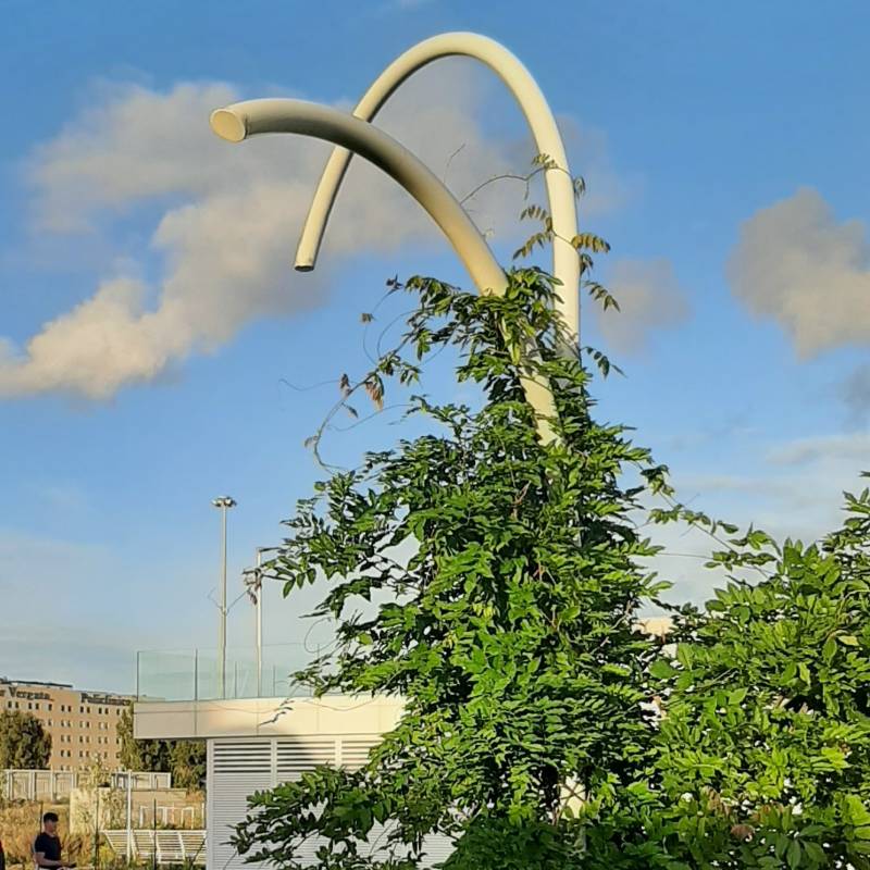 Fotosegnalazione di Roma torre gaia