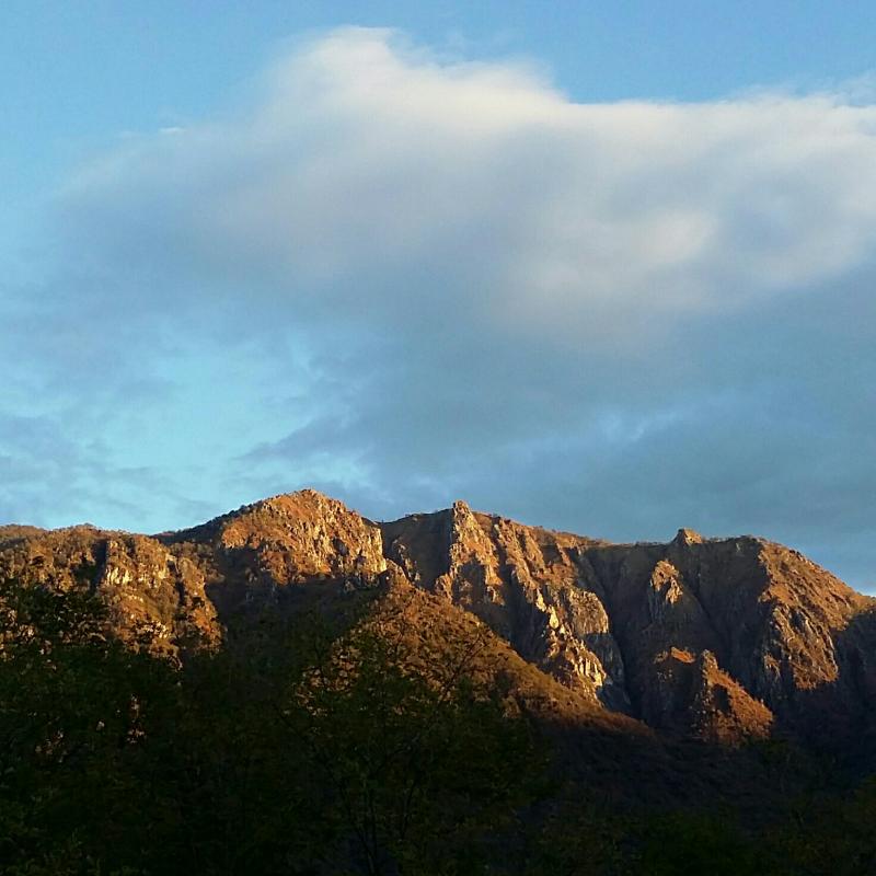Fotosegnalazione di Casale corte cerro