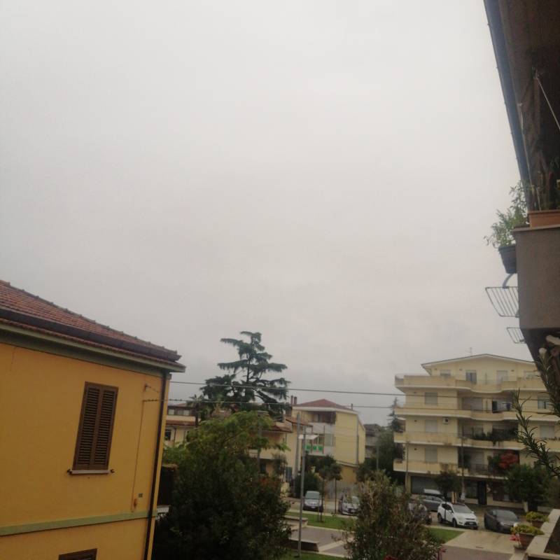 Fotosegnalazione di Pescara liberi