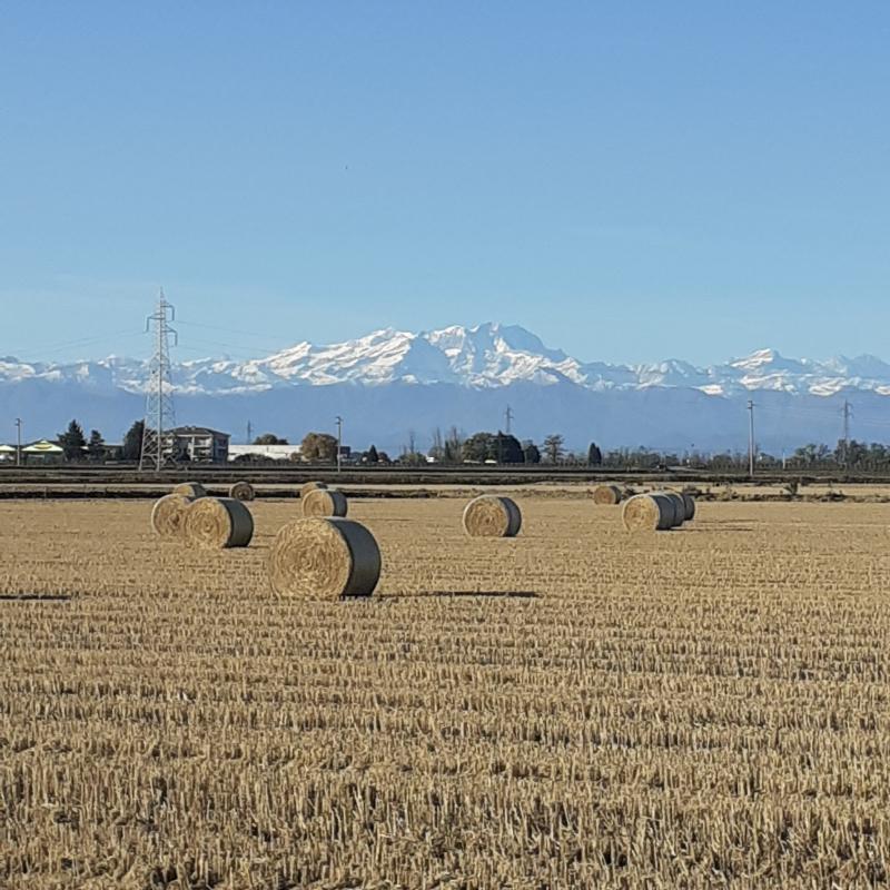 Fotosegnalazione di Novara
