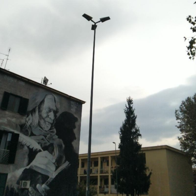 Fotosegnalazione di Roma portuense suburbio