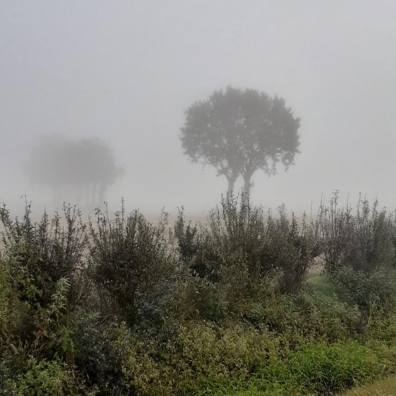 Fotosegnalazione di Noviglio