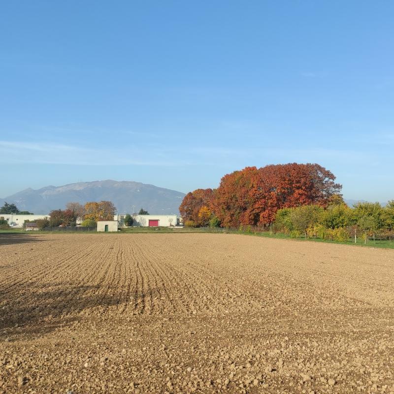 Fotosegnalazione di Bonate sopra