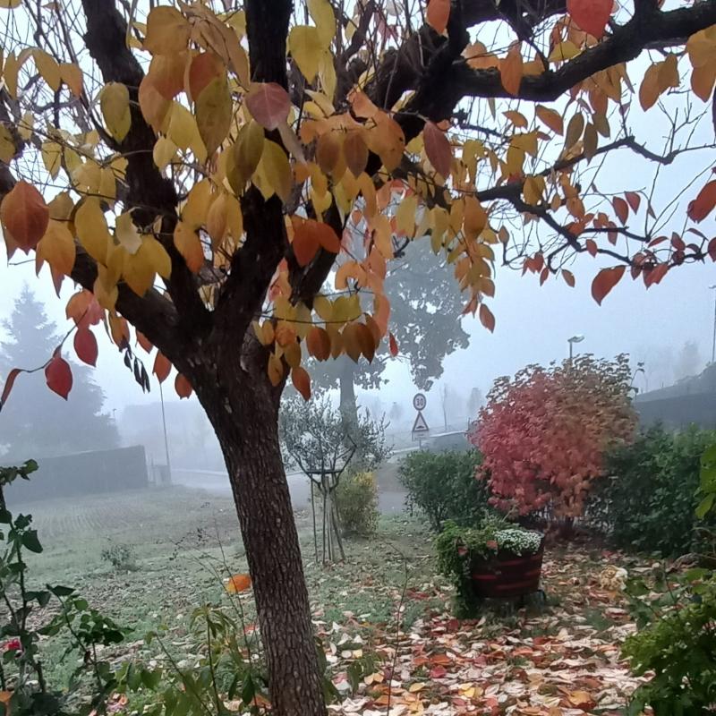 Fotosegnalazione di Gualdo tadino