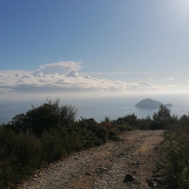 Dalla via del monte di Albenga verso isola gallinara