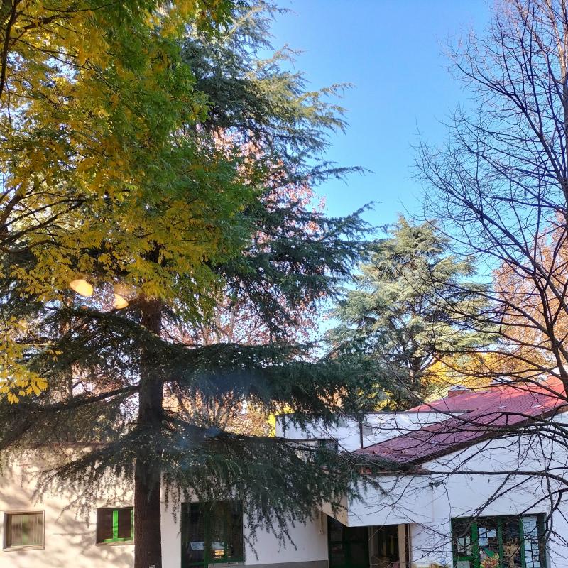Fotosegnalazione di Casalecchio di reno