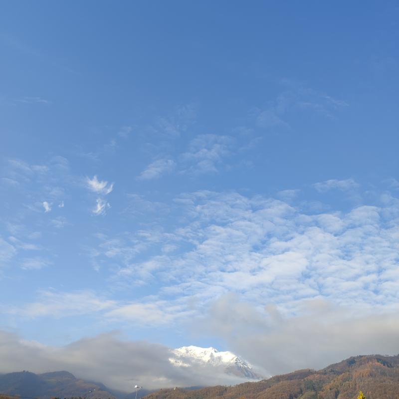 Fotosegnalazione di Pollone