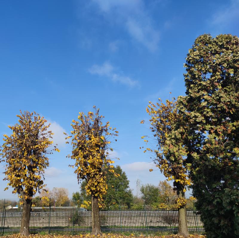 Fotosegnalazione di Vermezzo