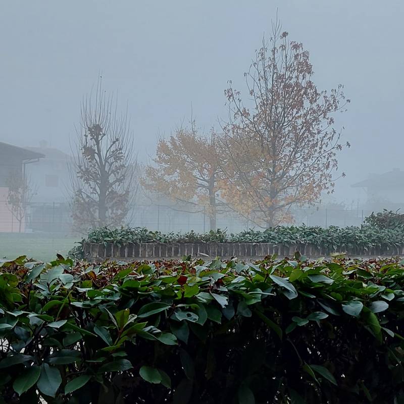 Fotosegnalazione di Ronchis