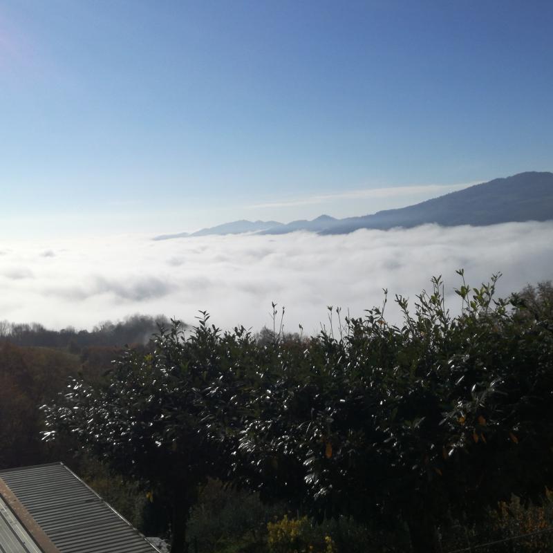 Fotosegnalazione di Vestenanova