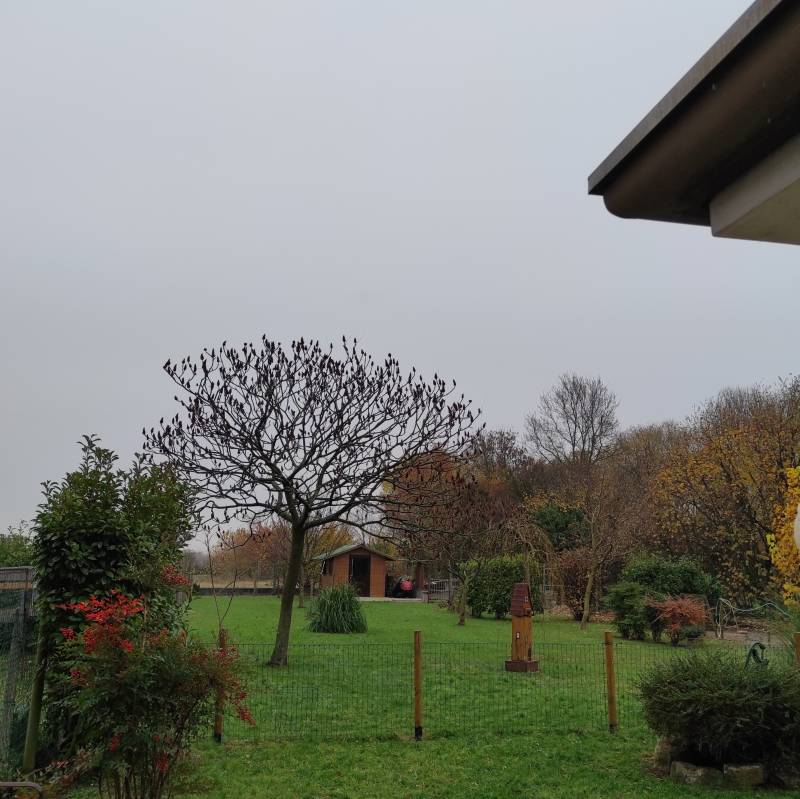 Fotosegnalazione di Rivignano teor