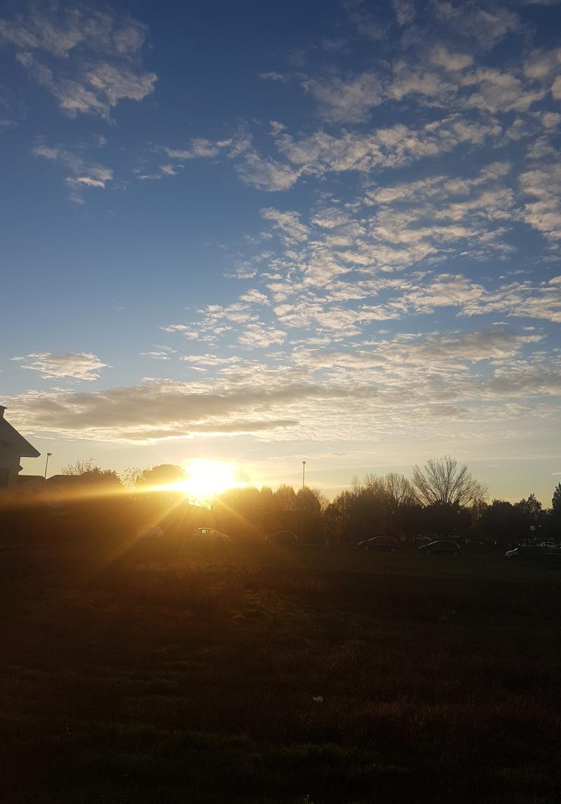 Torna il sole stamattina