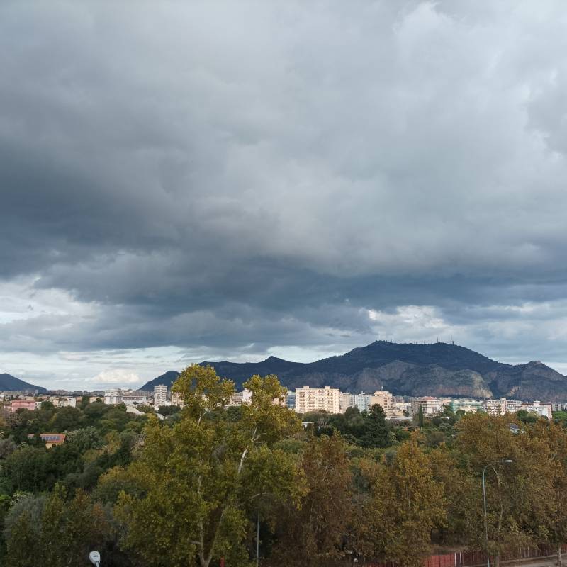Fotosegnalazione di Palermo