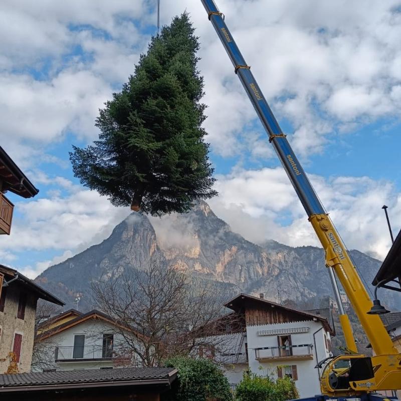 Partenza albero di natale per assisi