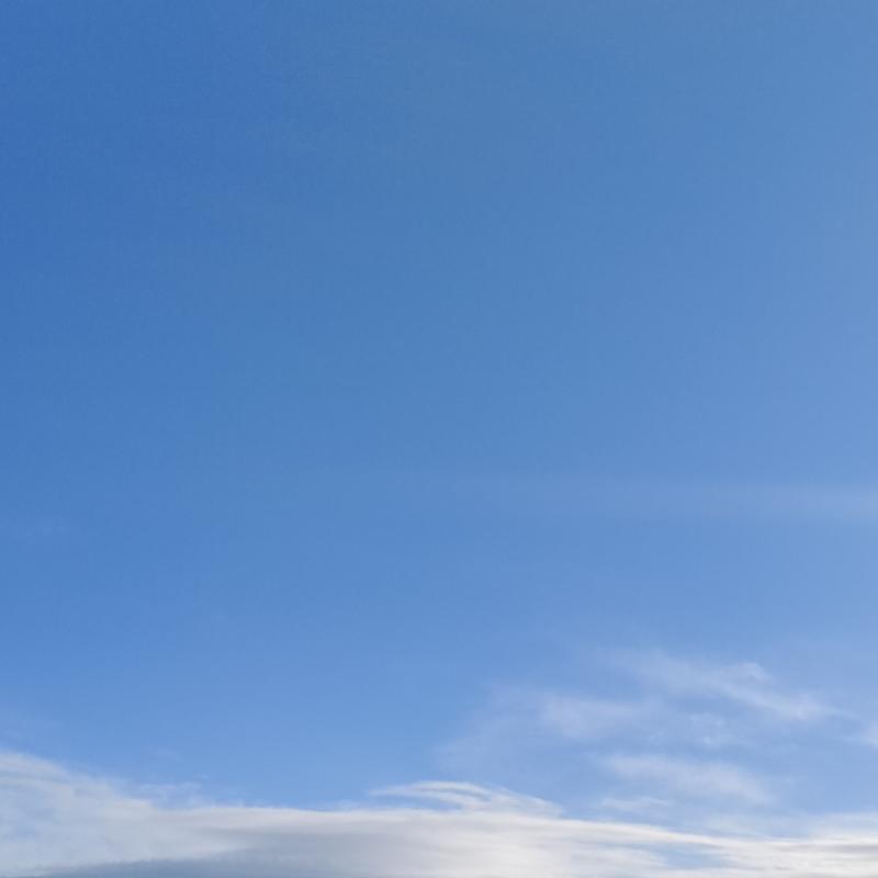 Fotosegnalazione di Mentana