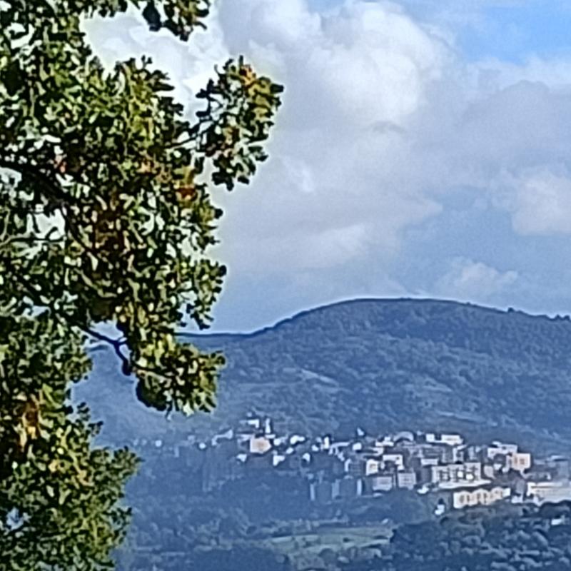 Vista panoramica di castel madama rm