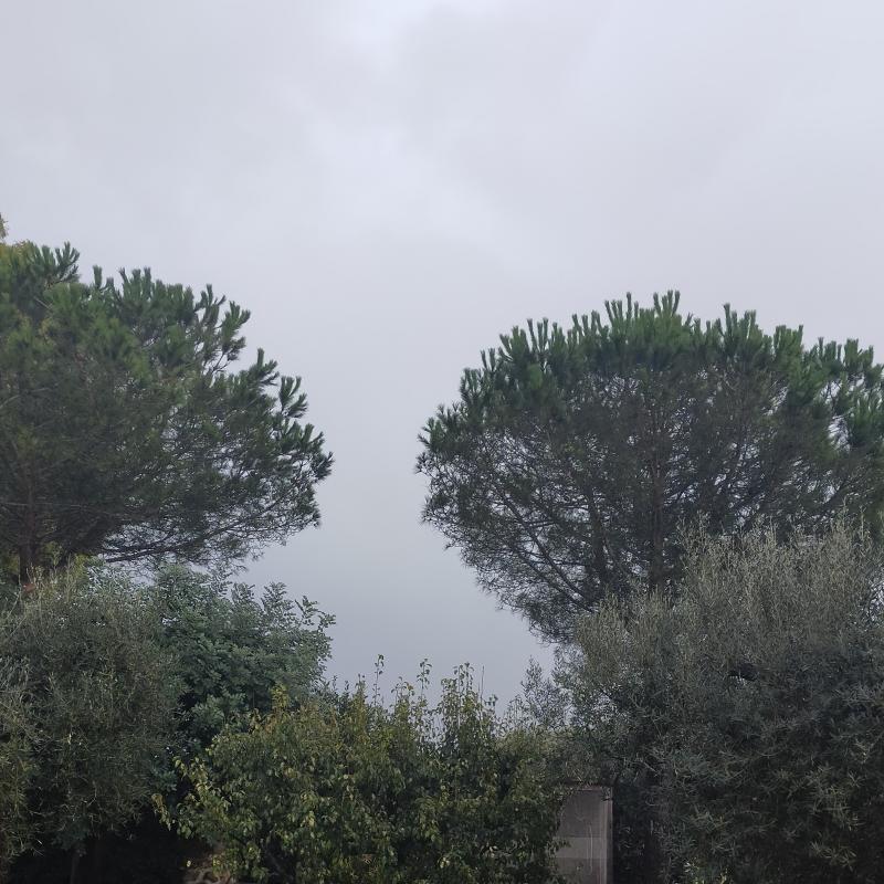 Fotosegnalazione di Ponte galeria