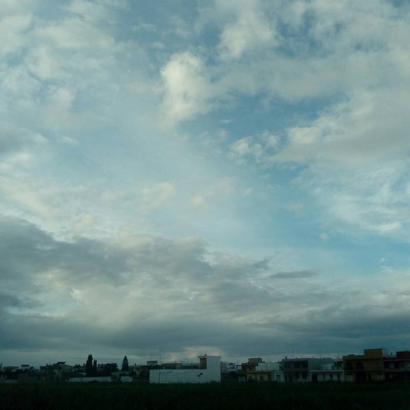 Fotosegnalazione di Salice salentino