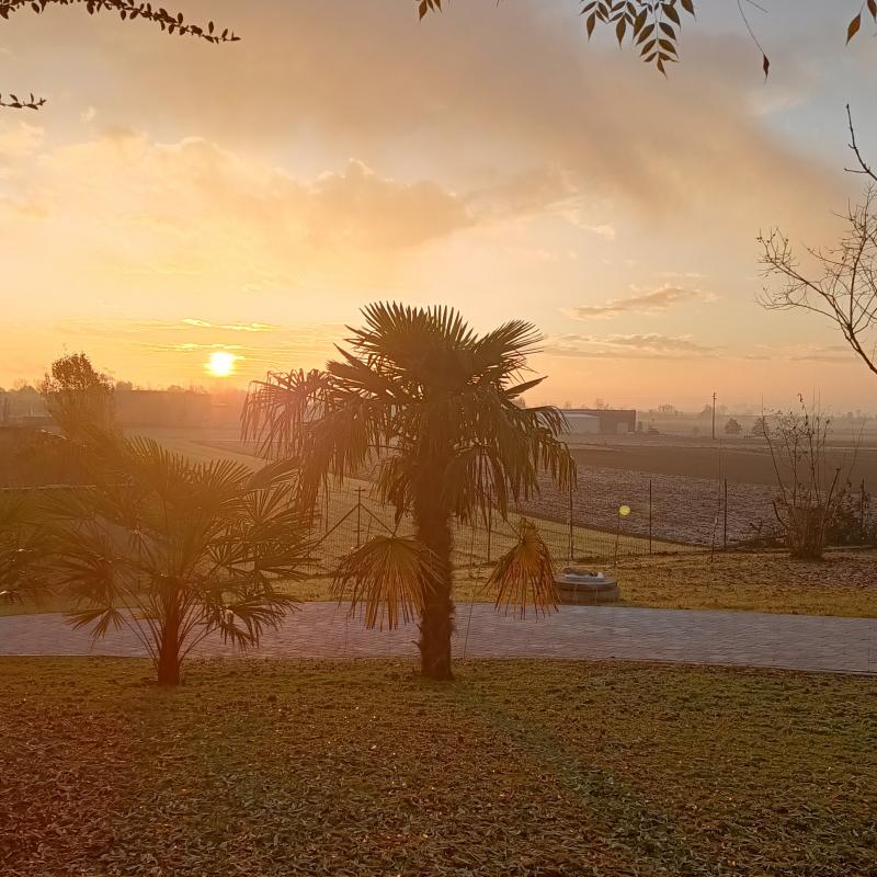 Bella giornata oggi