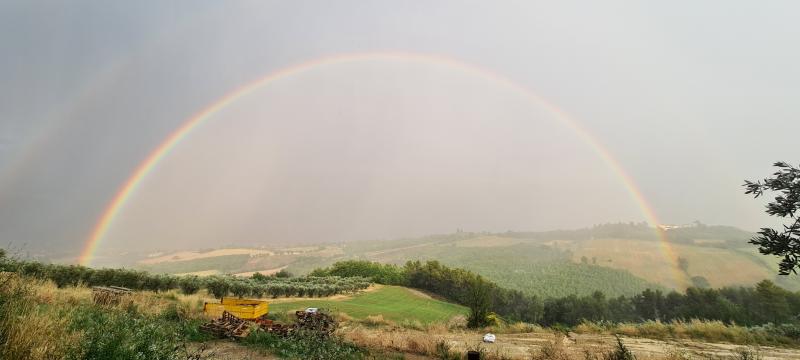 Paesaggio loc.terraia